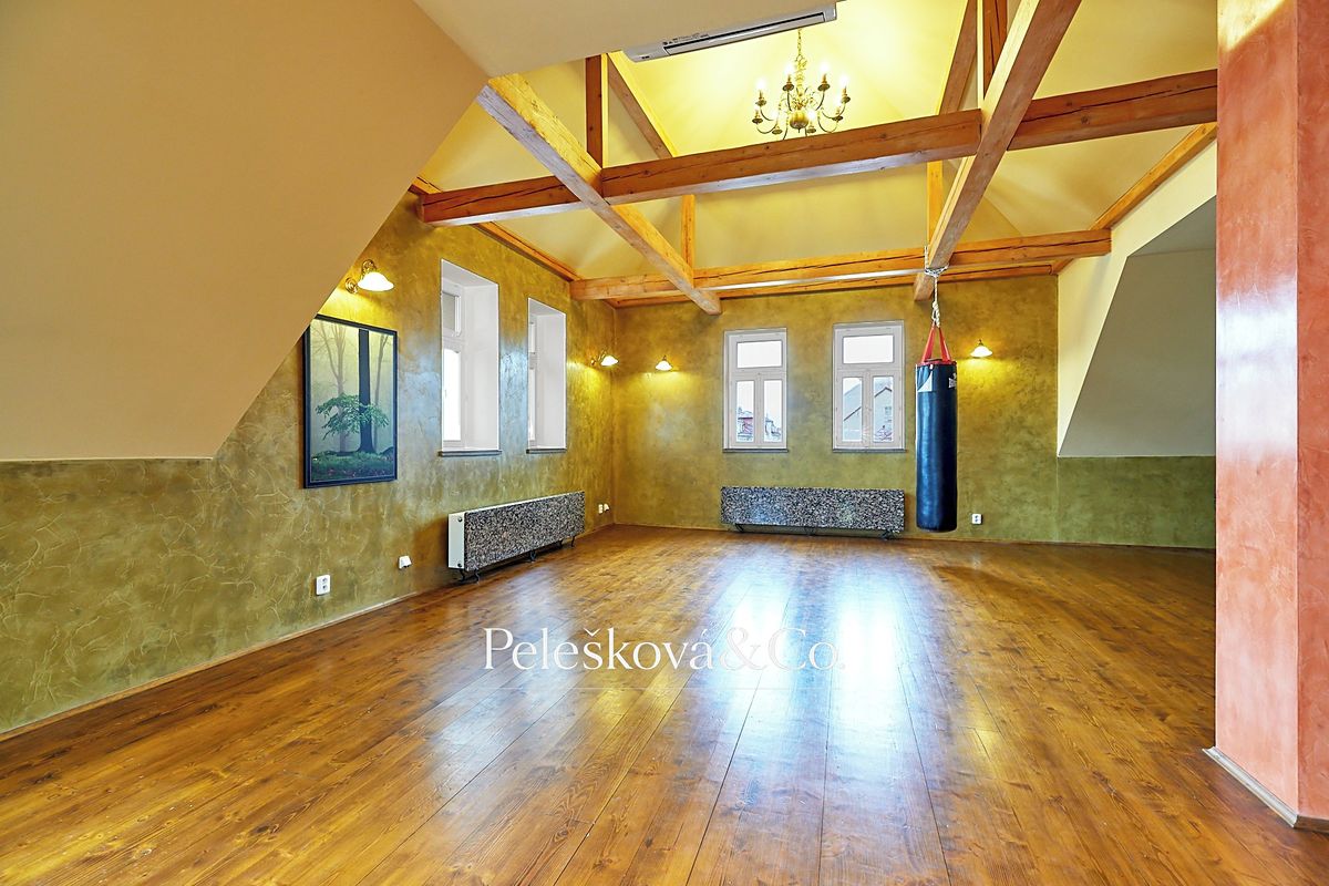 Pronájem bytu 4+kk 177 m² – fotografie 5