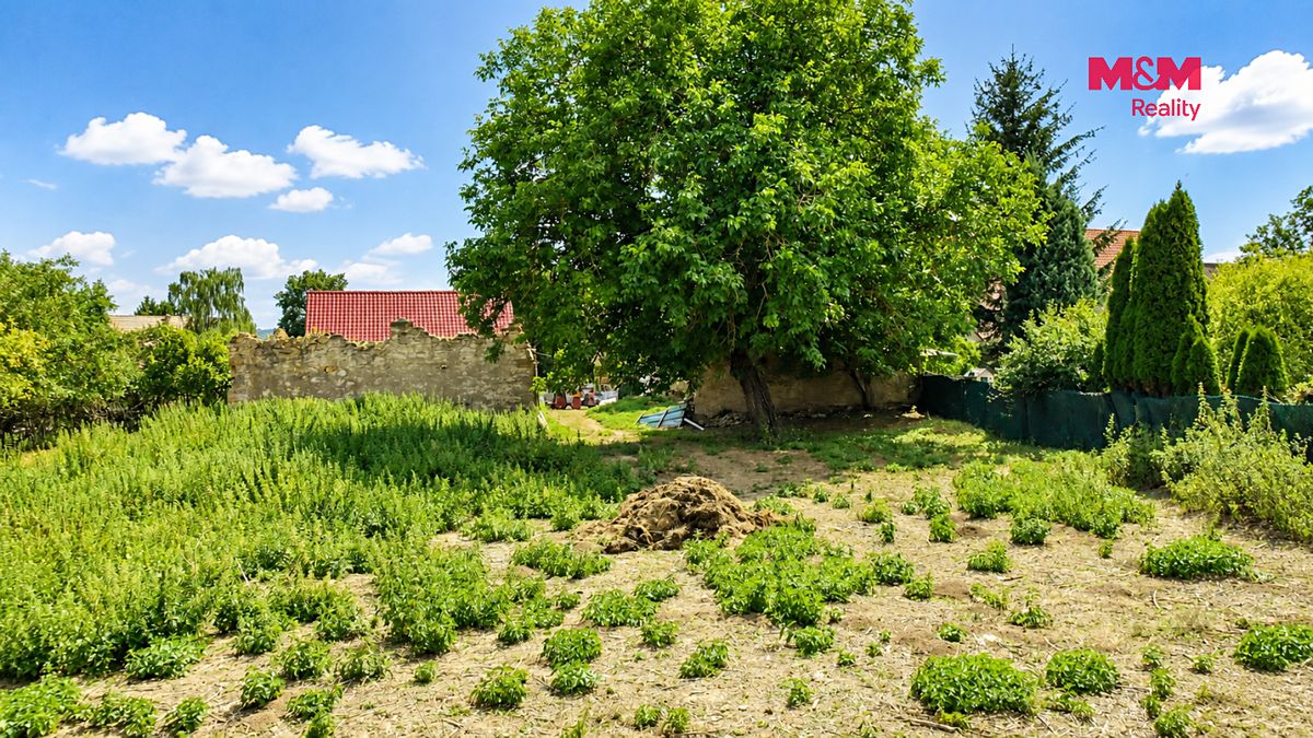 Prodej zemědělské usedlosti 1230 m², pozemek 4179 m² – fotografie 2