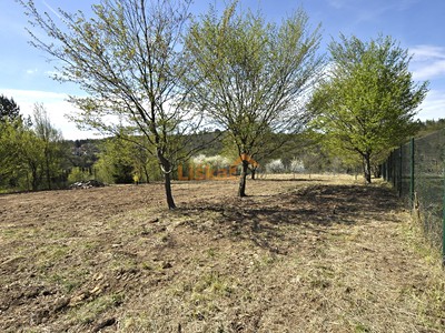 Prodej  zahrady 1 427 m²