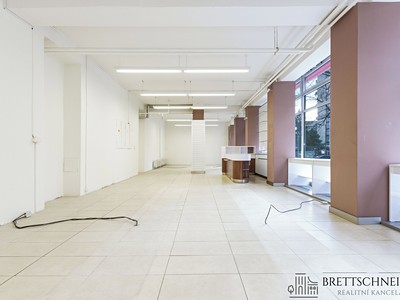 Pronájem komerčního prostoru, 110 m² (3 z 14)