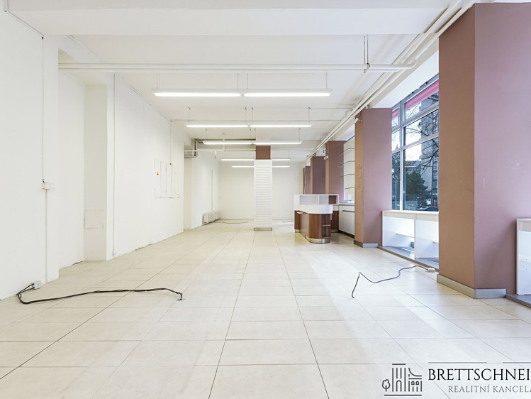 Pronájem komerčního prostoru, 110 m² (3 z 14)