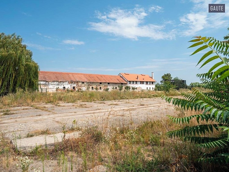 Ostatní