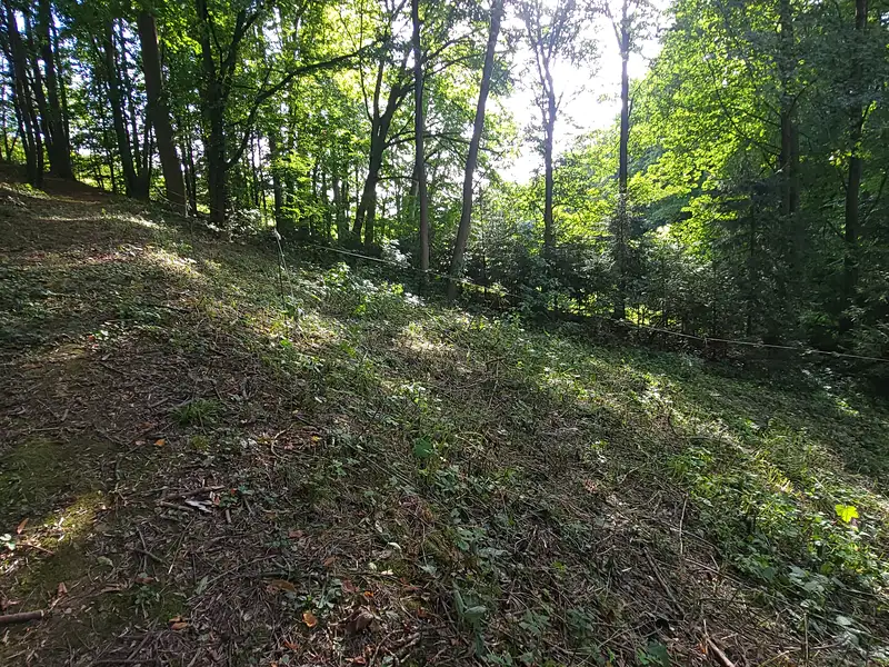 Pronájem zahrady 935 m², Javorník – náhled fotky 2