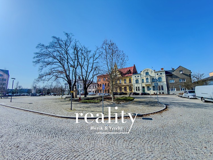 Prodej domu, 513 m² (4 z 32)