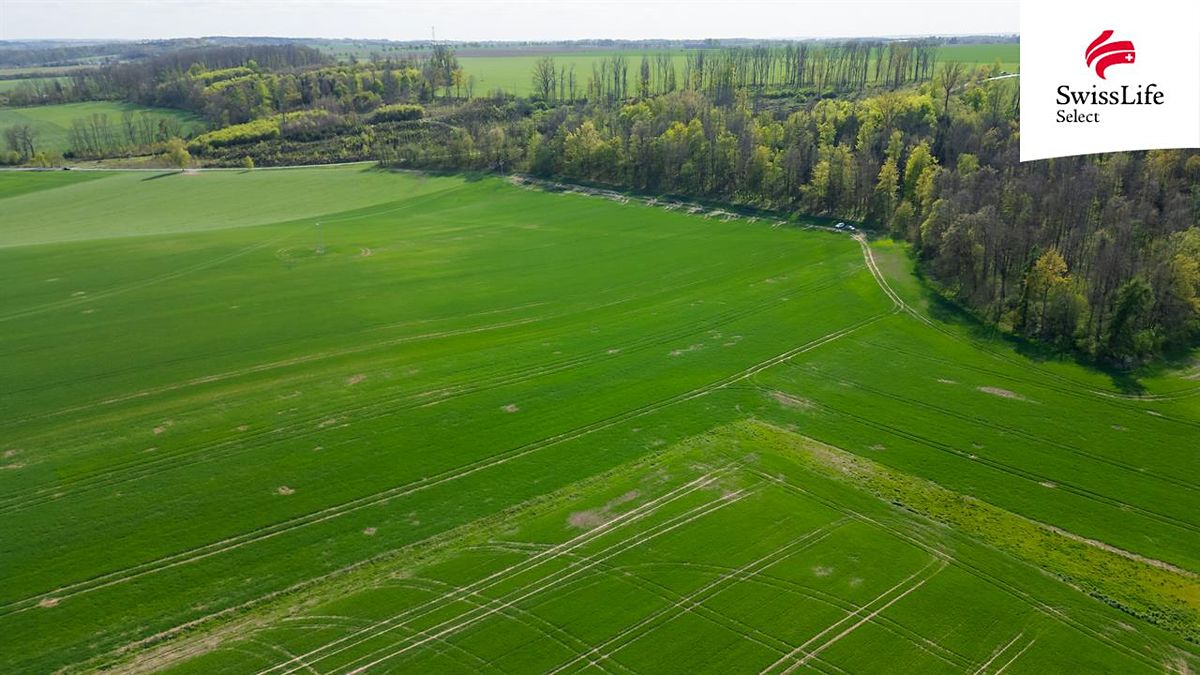 Prodej pole 18365 m² – fotografie 2