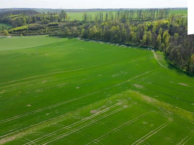 Prodej pole 18365 m², Vysoké Mýto – náhled fotky 2