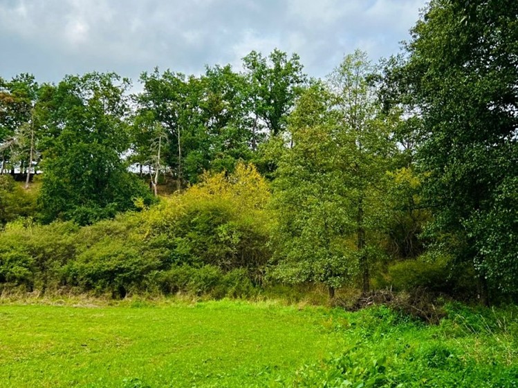 Grundstück zum Kauf, 1.277 m² (3 von 10)