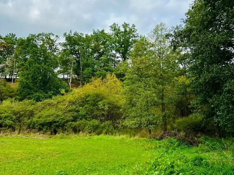 Prodej louky 1277 m², Rybníky – náhled fotky 3