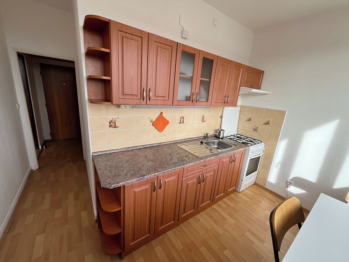 Pronájem bytu 2+1 50 m² – fotografie 3