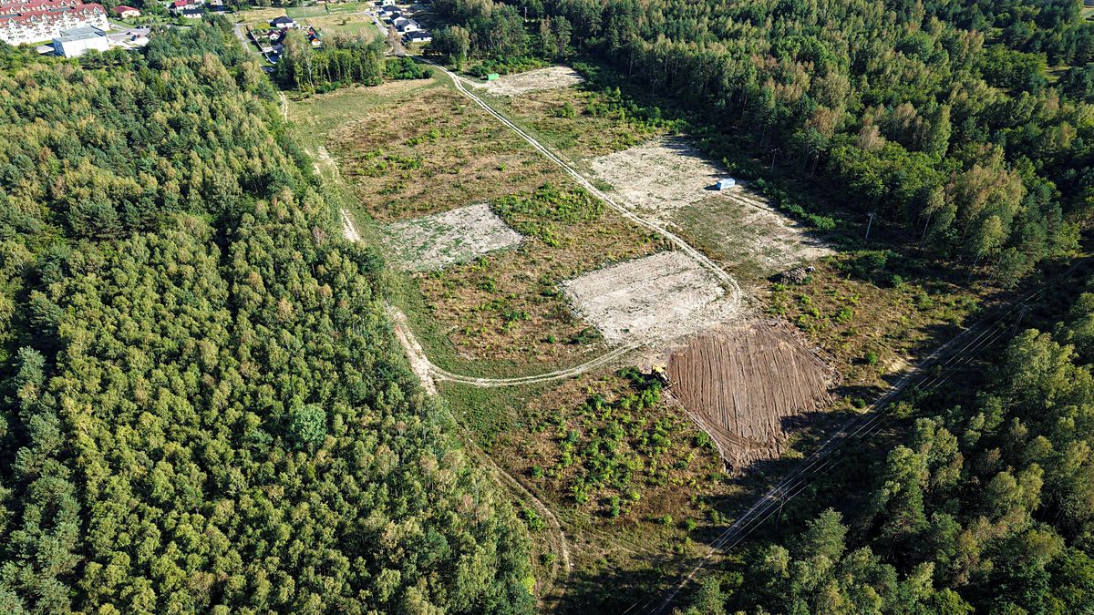Prodej stavebního pozemku 1255 m² – fotografie 3
