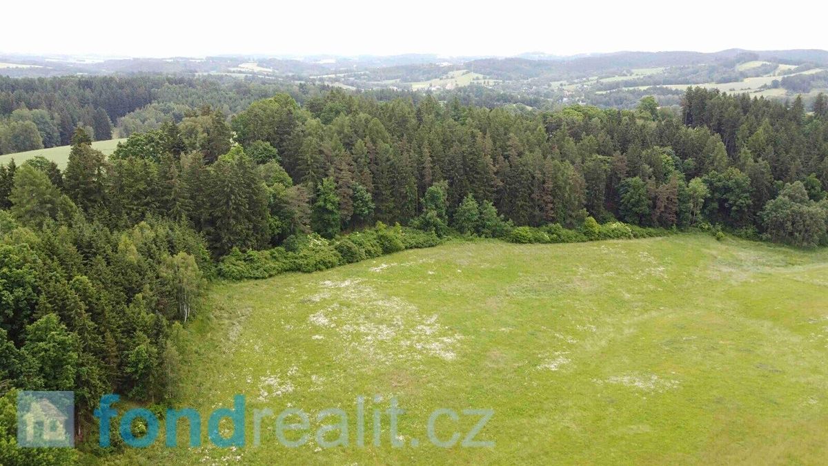 Prodej pole 6699 m² – fotografie 2