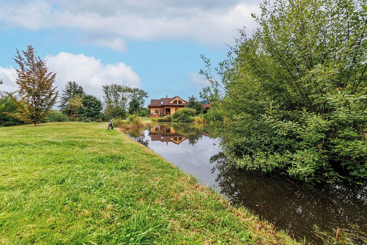 Prodej rodinného domu 310 m², pozemek 4643 m² – fotografie 5