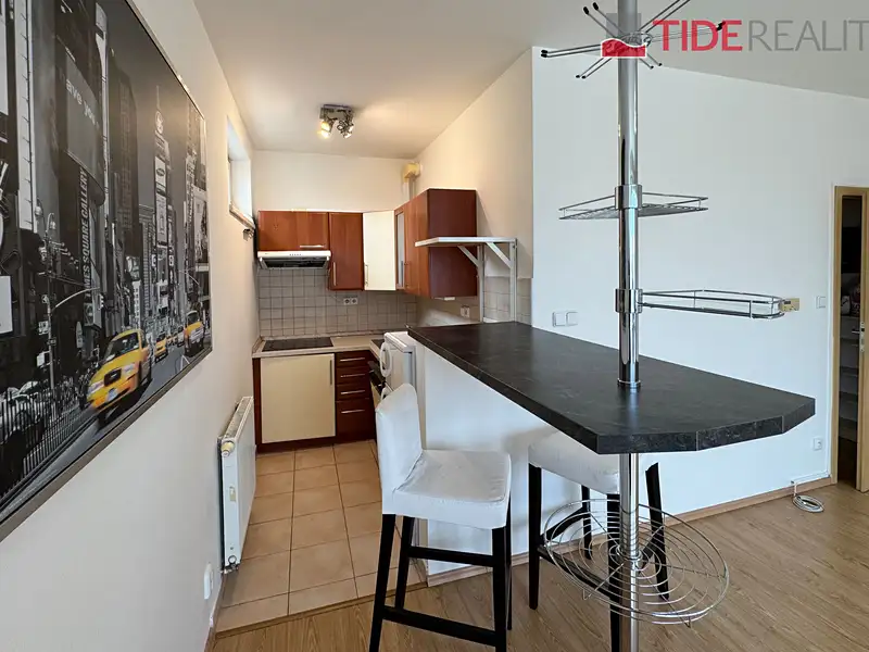 Prodej bytu 1+kk 44 m², Praha – náhled fotky 3