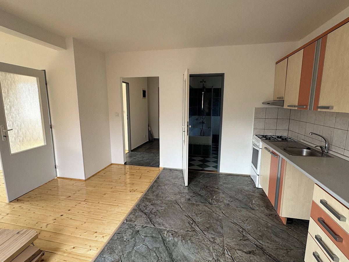 Pronájem bytu 1+1 46 m² – fotografie 4