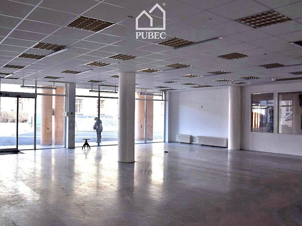 Pronájem obchodního prostoru 254 m² – fotografie 3
