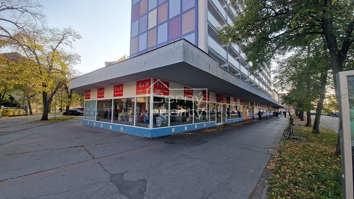 Pronájem obchodního prostoru 465 m²