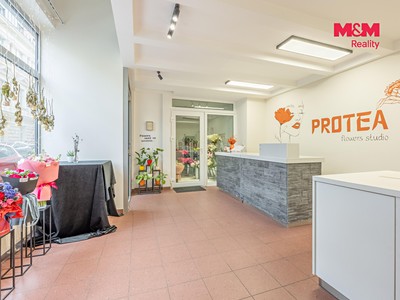 Комерційне приміщення в оренду, 48 м² (3 з 15)