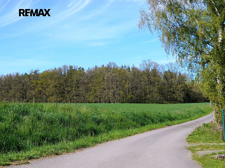 Grundstück zum Kauf, 984 m² (13 von 16)