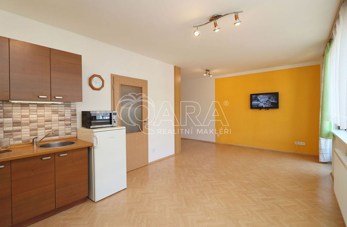Pronájem bytu 1+kk 42 m² – fotografie 3