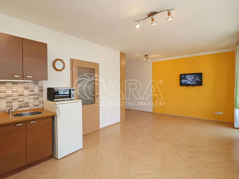 Pronájem bytu 1+kk 42 m², Praha – náhled fotky 3