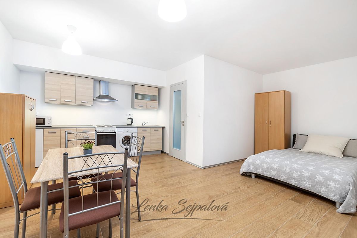 Prodej bytu 1+kk 45 m² – fotografie 4