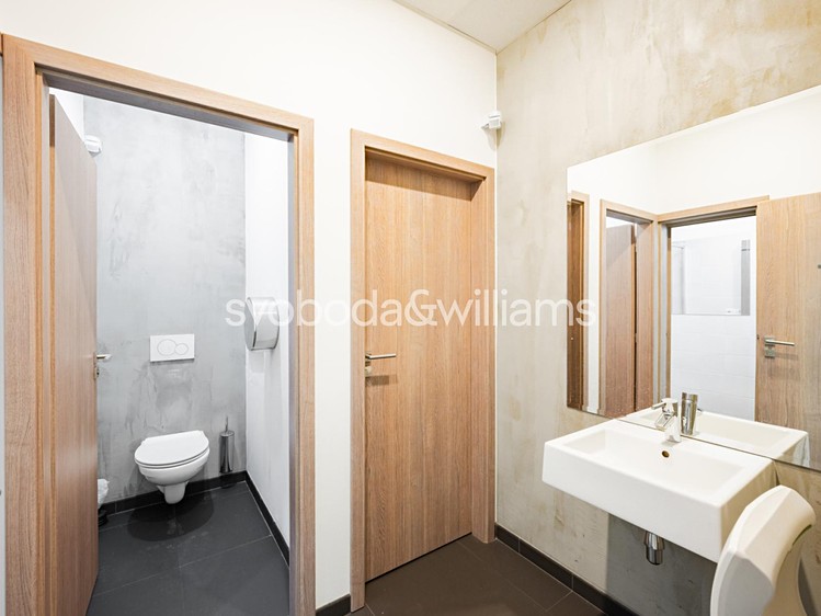 Pronájem komerčního prostoru, 300 m² (15 z 19)