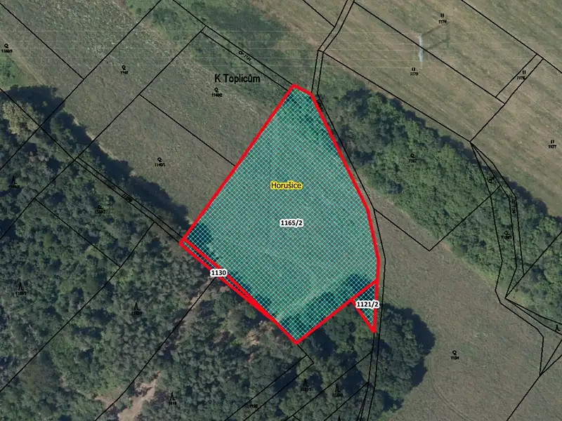Prodej pozemku 8636 m², Horušice – náhled fotky 1