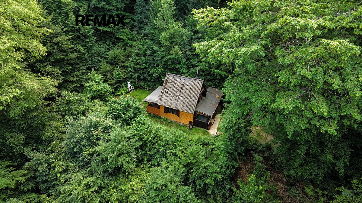 Prodej chaty 45 m², pozemek 600 m² – fotografie 3