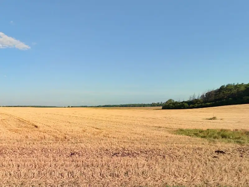 Prodej pozemku 23564 m², Přepychy – náhled fotky 2