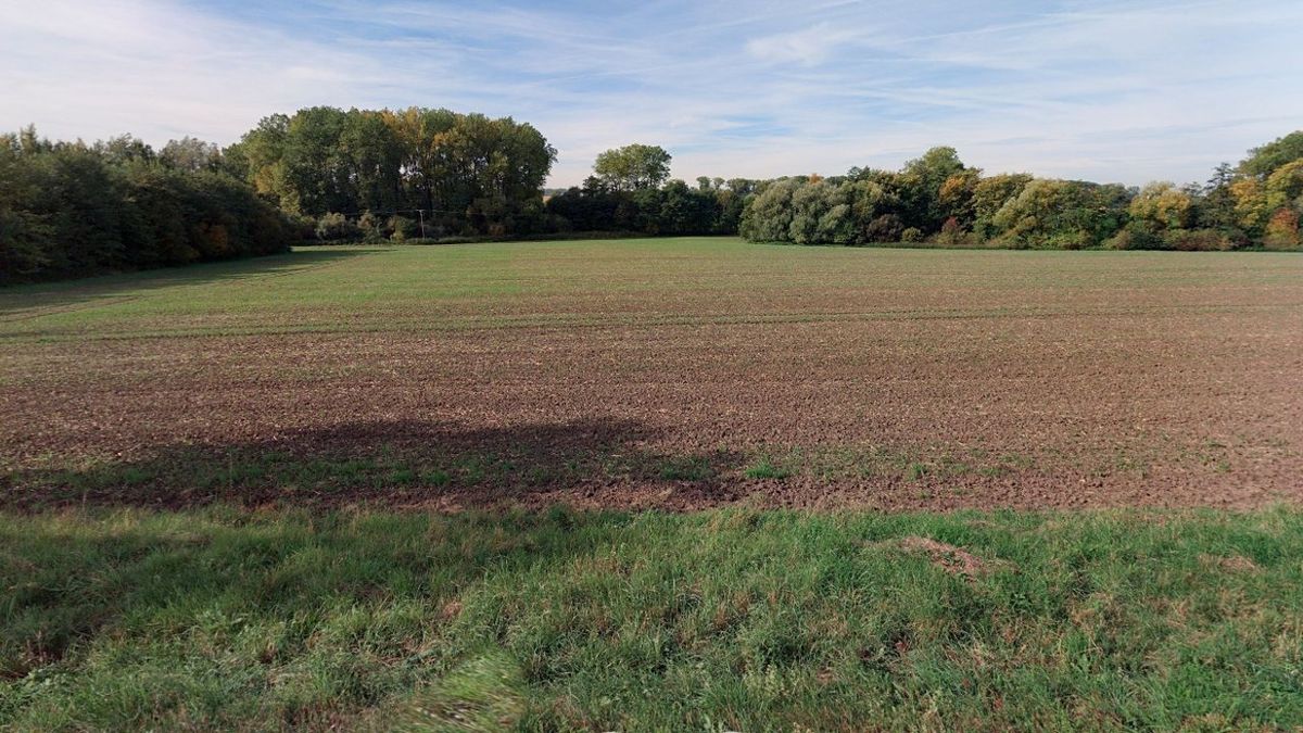 Prodej pole 5793 m² – fotografie 2