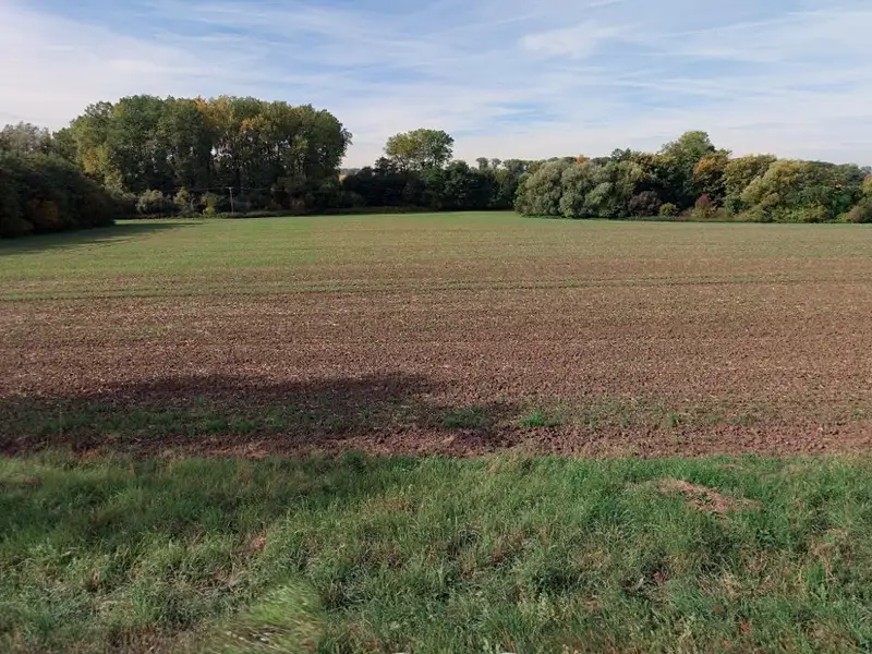 Prodej pole 5793 m², Vinaře – náhled fotky 2