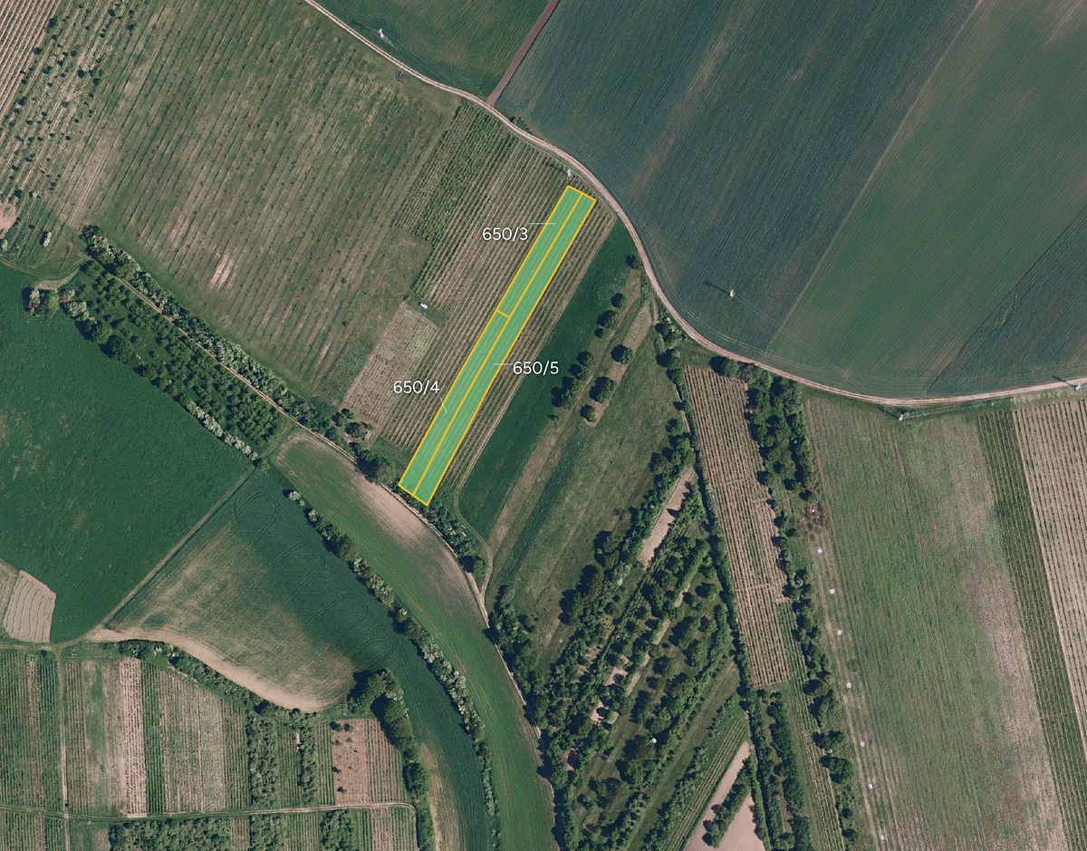 Prodej pole 4183 m²