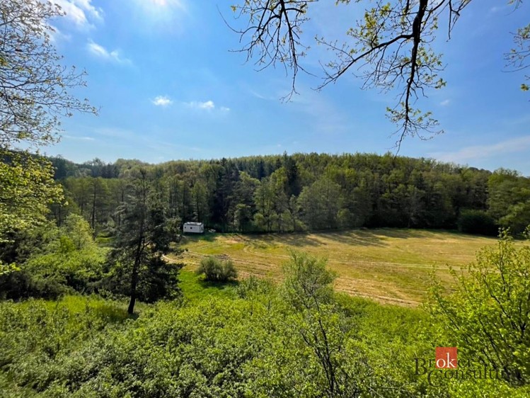 Grundstück zum Kauf, 1.277 m² (7 von 10)