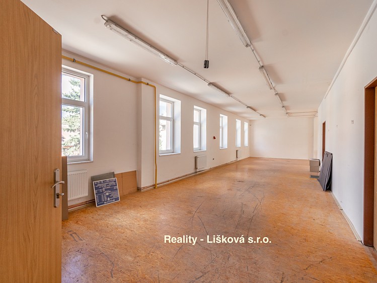 Комерційне приміщення в оренду, 261 м² (13 з 25)
