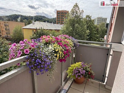 Pronájem bytu 3+1 64 m²