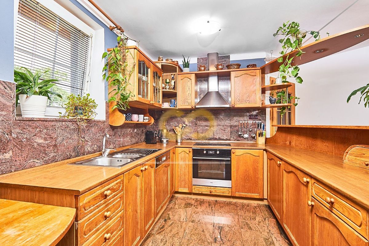 Prodej rodinného domu 430 m², pozemek 3248 m² – fotografie 5