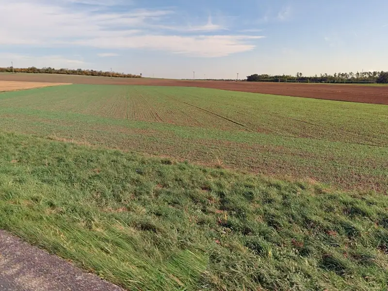 Prodej pozemku 9984 m², Uhlířská Lhota – náhled fotky 2