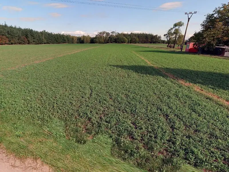 Prodej pozemku 4200 m², Krakovany – náhled fotky 2
