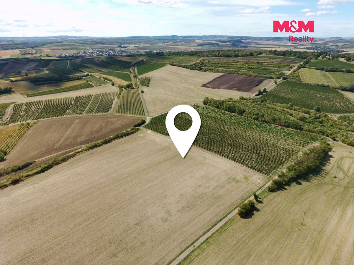 Prodej pole 9598 m² – fotografie 4