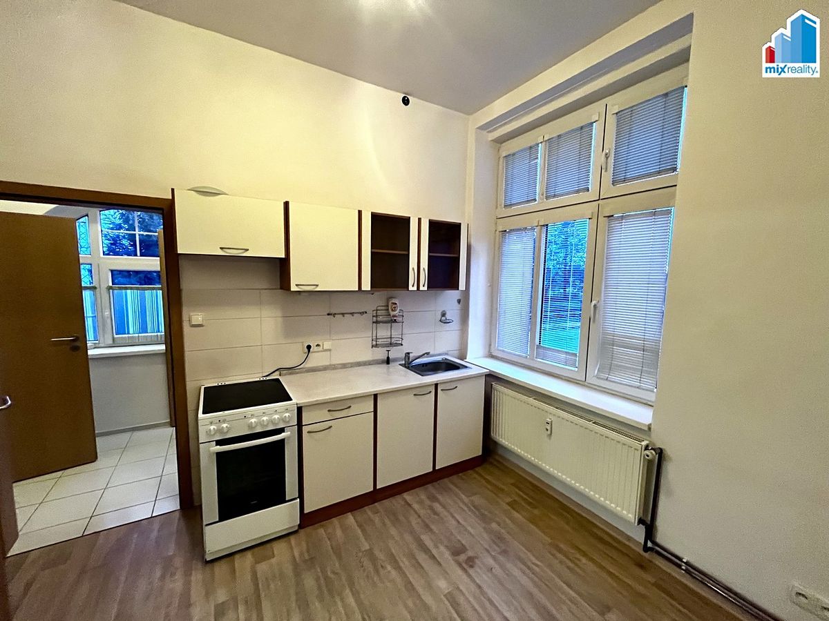 Pronájem bytu 1+1 45 m² – fotografie 2