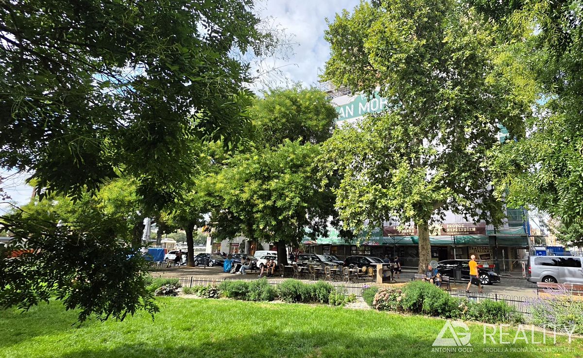 Pronájem bytu 4+kk 123 m² – fotografie 5