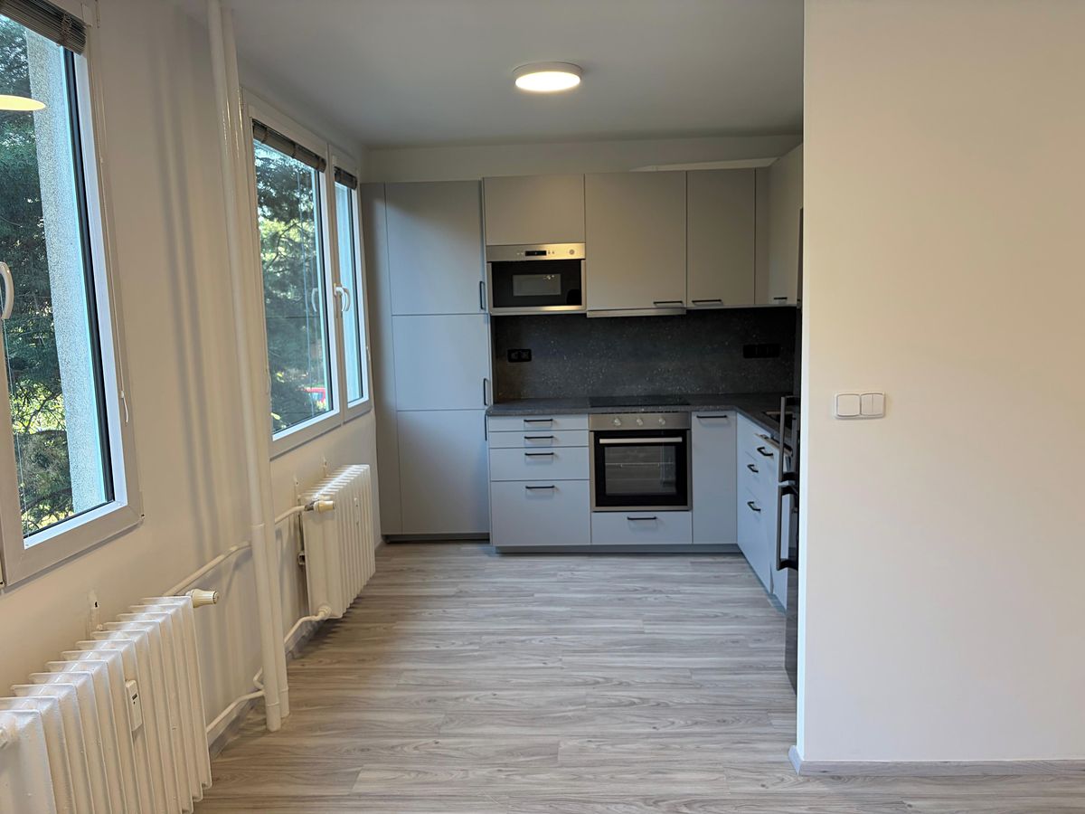 Pronájem bytu 3+kk 62 m² – fotografie 2