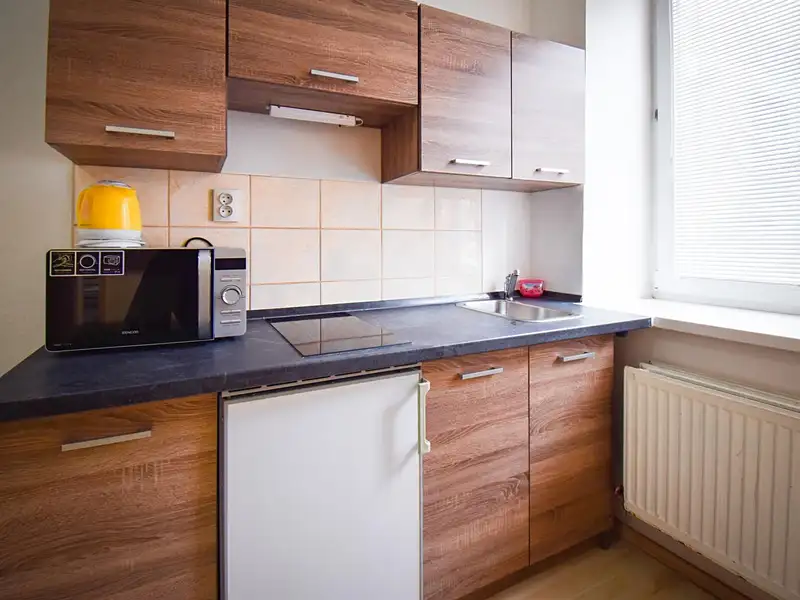 Pronájem bytu 2+1 45 m², Brno – náhled fotky 3