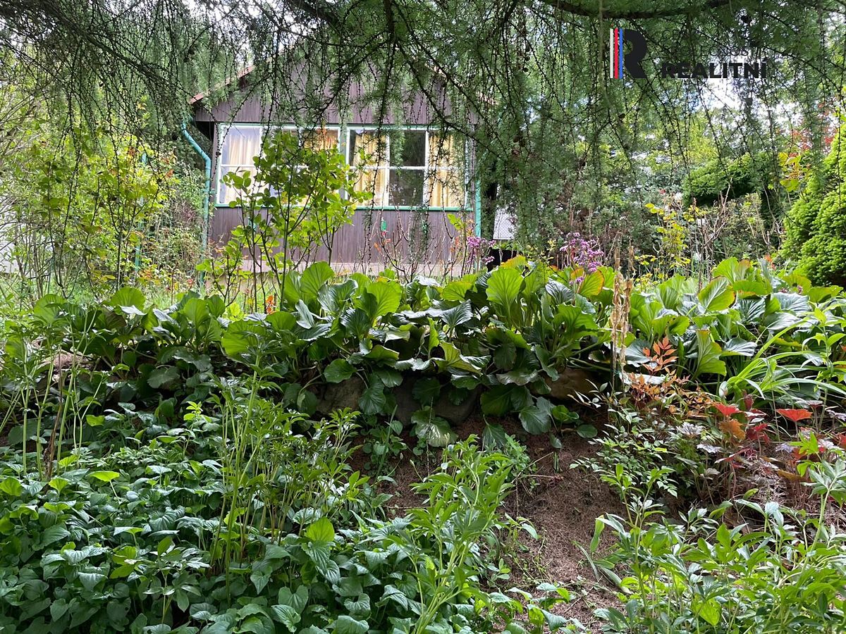 Prodej chaty 25 m², pozemek 585 m² – fotografie 3