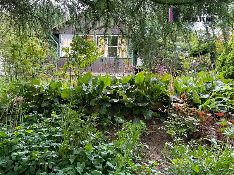 Prodej chaty 25 m², pozemek 585 m², Liberec – náhled fotky 3