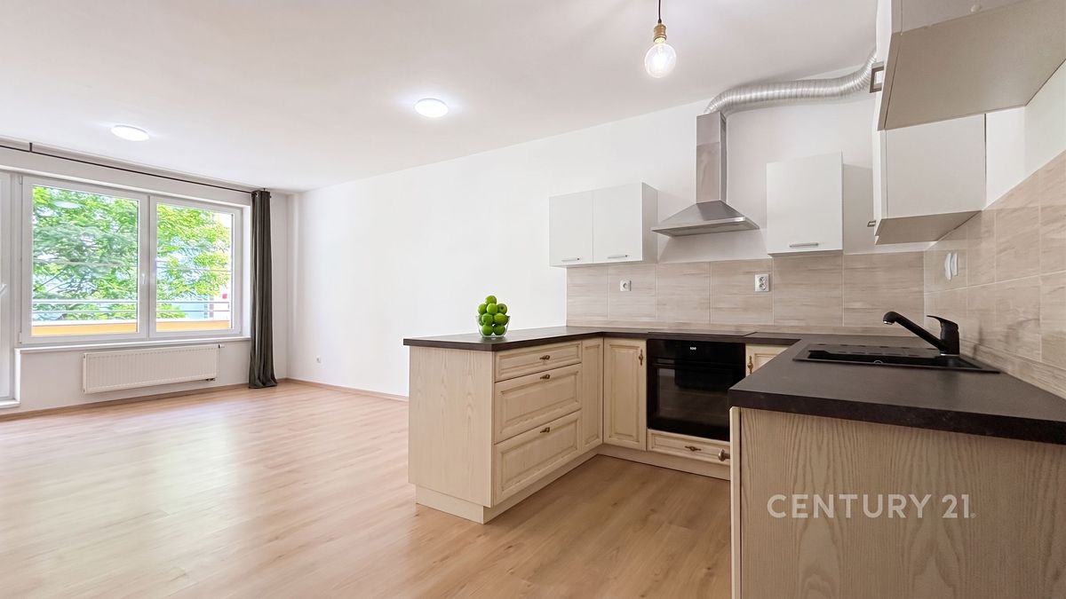 Pronájem bytu 1+kk 44 m²