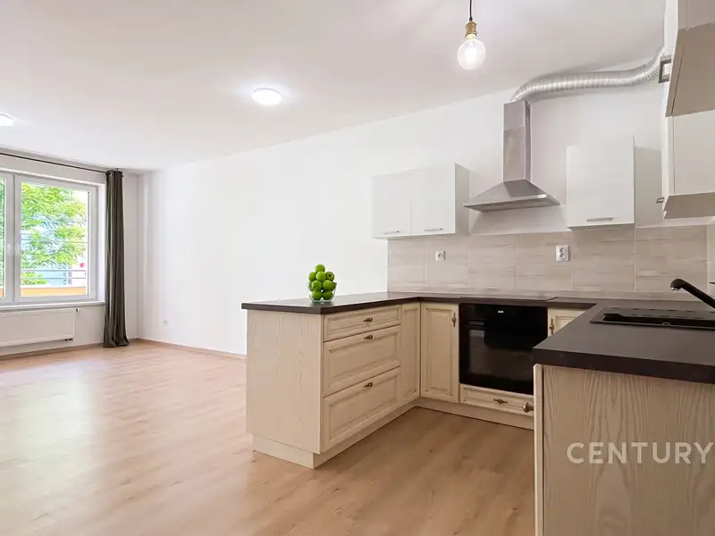Pronájem bytu 1+kk 44 m², Benešov – náhled fotky 1