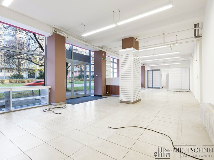 Pronájem komerčního prostoru, 110 m² (4 z 14)