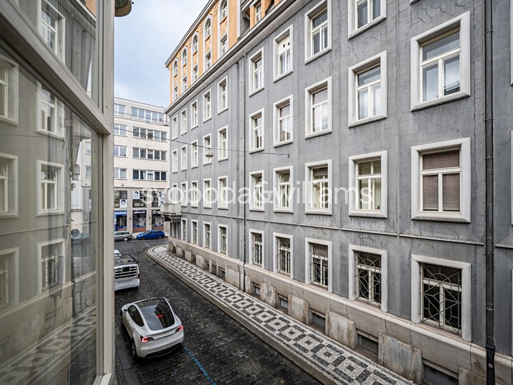Pronájem komerčního prostoru, 300 m² (4 z 19)