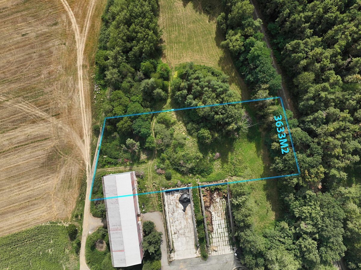 Prodej komerčního pozemku 3633 m² – fotografie 3